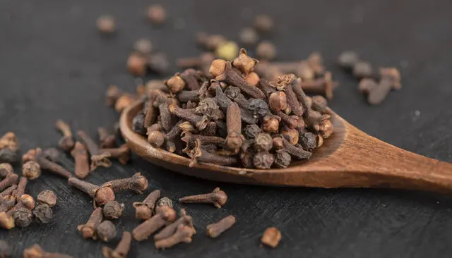 Clavo de Olor Fresco - Esencia Aromática para Tus Platos | Estrella del Sur Puebla Clavo de olor, ideal para sazonar carnes, panes y bebidas tradicionales. Calidad garantizada en Estrella del Sur Puebla.